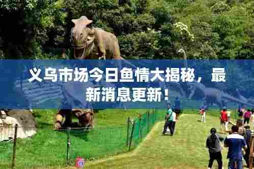 义乌市场今日鱼情大揭秘，最新消息更新！