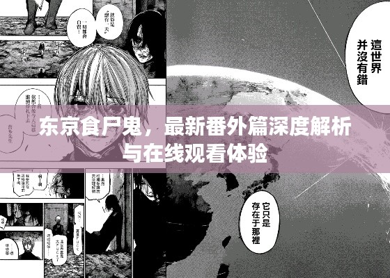 东京食尸鬼,最新番外篇深度解析与在线观看体验