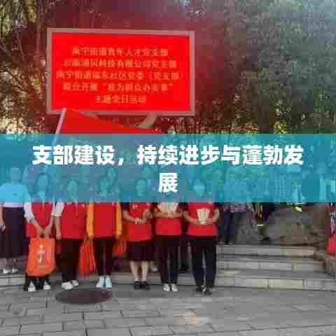 支部建设，持续进步与蓬勃发展