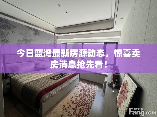 今日蓝湾最新房源动态,惊喜卖房消息抢先看!