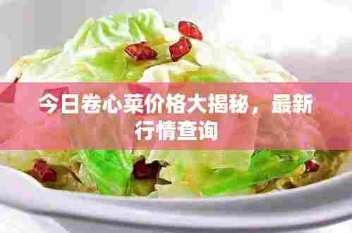 今日卷心菜价格大揭秘，最新行情查询