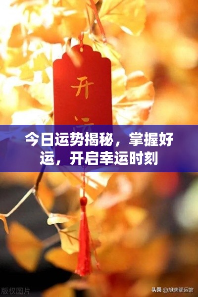 今日运势揭秘,掌握好运,开启幸运时刻