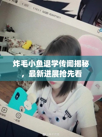 炸毛小鱼退学传闻揭秘,最新进展抢先看