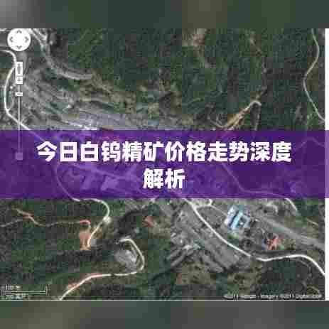 今日白钨精矿价格走势深度解析