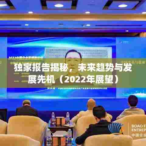 独家报告揭秘，未来趋势与发展先机（2022年展望）