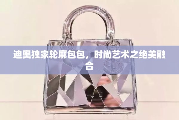 迪奥独家轮廓包包，时尚艺术之绝美融合