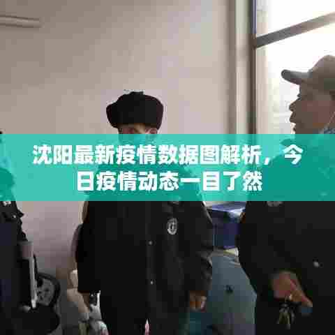 沈阳最新疫情数据图解析,今日疫情动态一目了然