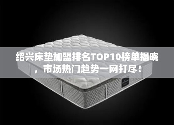 绍兴床垫加盟排名TOP10榜单揭晓,市场热门趋势一网打尽!