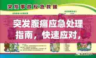 突发腹痛应急处理指南，快速应对，守护健康！