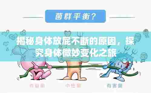 揭秘身体放屁不断的原因,探究身体微妙变化之旅