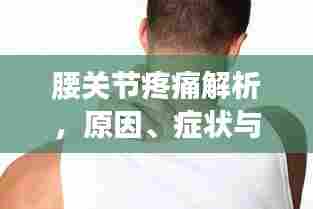 腰关节疼痛解析,原因、症状与治疗方法(百度收录标准)