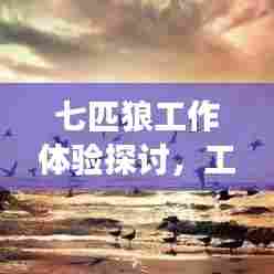 七匹狼工作体验探讨,工作环境、待遇及发展解析