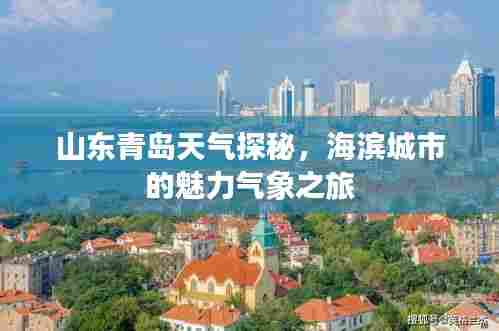 山东青岛天气探秘，海滨城市的魅力气象之旅