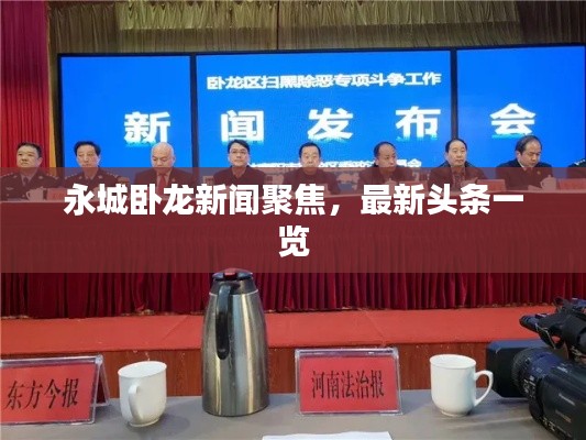永城卧龙新闻聚焦,最新头条一览