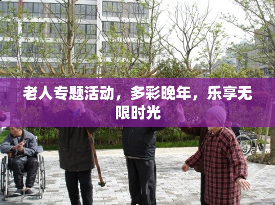老人专题活动,多彩晚年,乐享无限时光