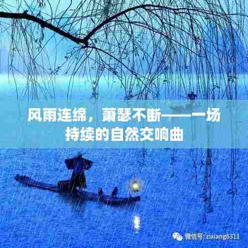 风雨连绵,萧瑟不断——一场持续的自然交响曲