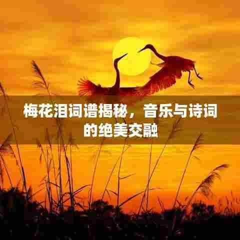 星星打烊 第6页