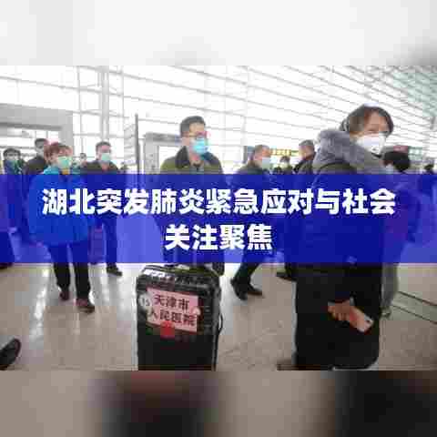 湖北突发肺炎紧急应对与社会关注聚焦