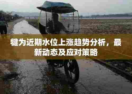 犍为近期水位上涨趋势分析，最新动态及应对策略