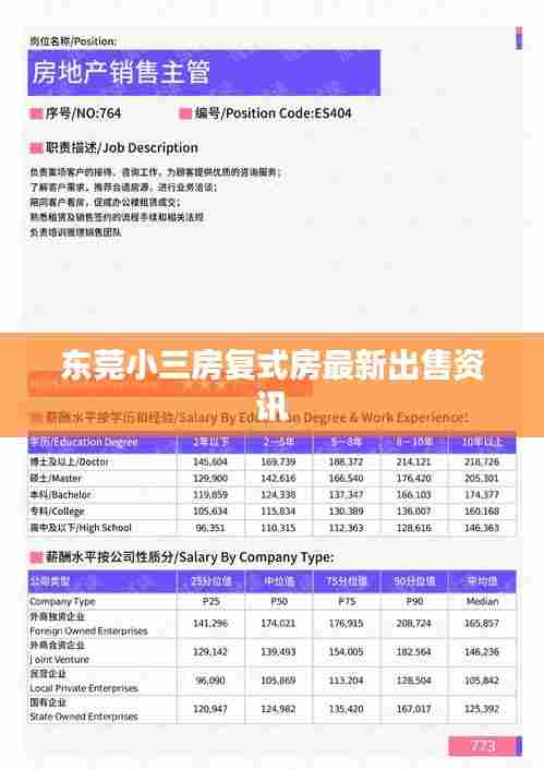 东莞小三房复式房最新出售资讯