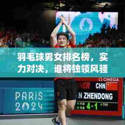 羽毛球男女排名榜,实力对决,谁将独领风骚?