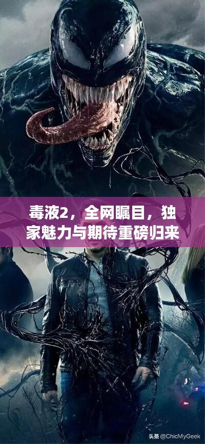 毒液2,全网瞩目,独家魅力与期待重磅归来!