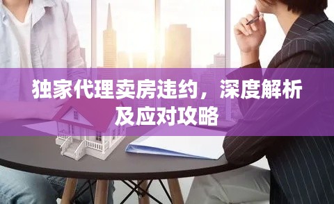 独家代理卖房违约,深度解析及应对攻略