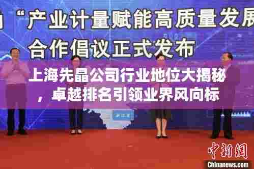 上海先晶公司行业地位大揭秘，卓越排名引领业界风向标