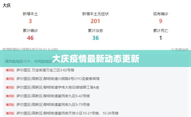 大庆疫情最新动态更新