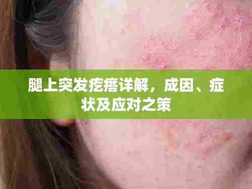 腿上突发疙瘩详解,成因、症状及应对之策