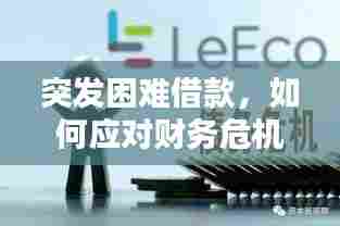 突发困难借款,如何应对财务危机,轻松应对意外挑战