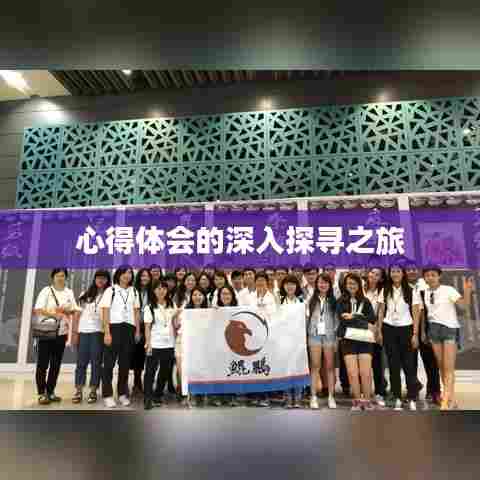 心得体会的深入探寻之旅