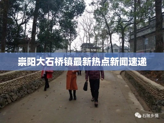 崇阳大石桥镇最新热点新闻速递