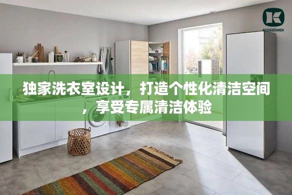 独家洗衣室设计，打造个性化清洁空间，享受专属清洁体验