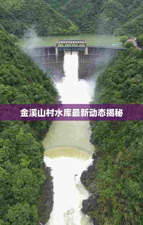 金溪山村水库最新动态揭秘