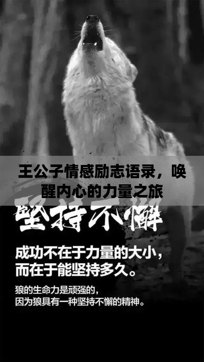 王公子情感励志语录,唤醒内心的力量之旅
