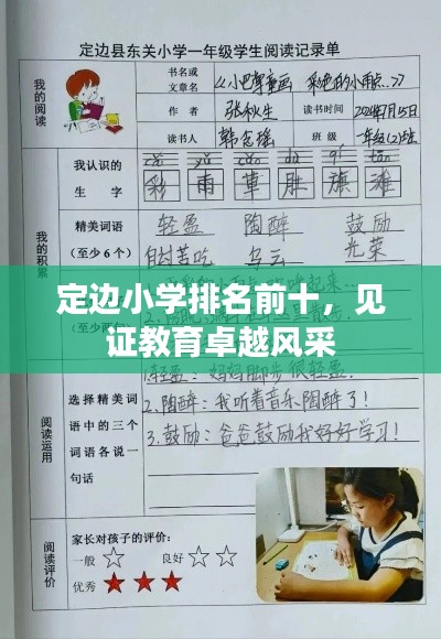 定边小学排名前十,见证教育卓越风采