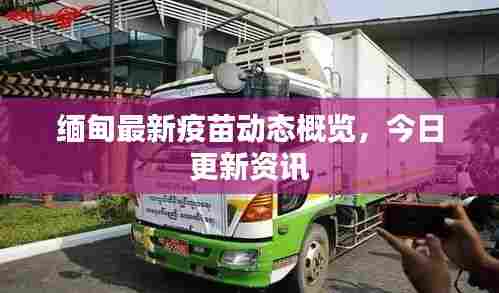 缅甸最新疫苗动态概览,今日更新资讯