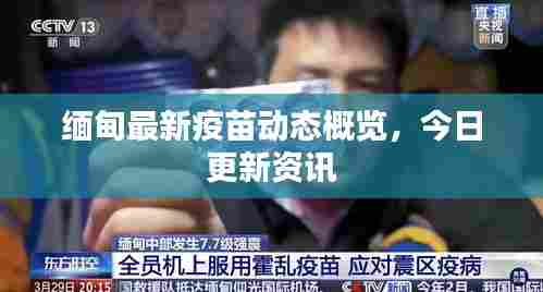 缅甸最新疫苗动态概览,今日更新资讯