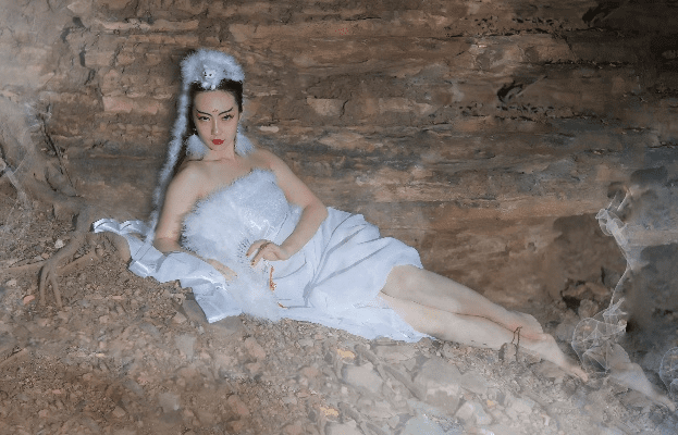 白狐 老版本,专业解答实行问题&nShop_v2.615