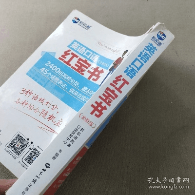 敷衍了事 第5页