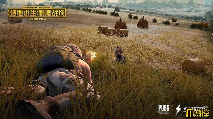 下载绝地求生官方手游跟搞鬼网游单机版,快捷问题解决方案&高级版_v4.511